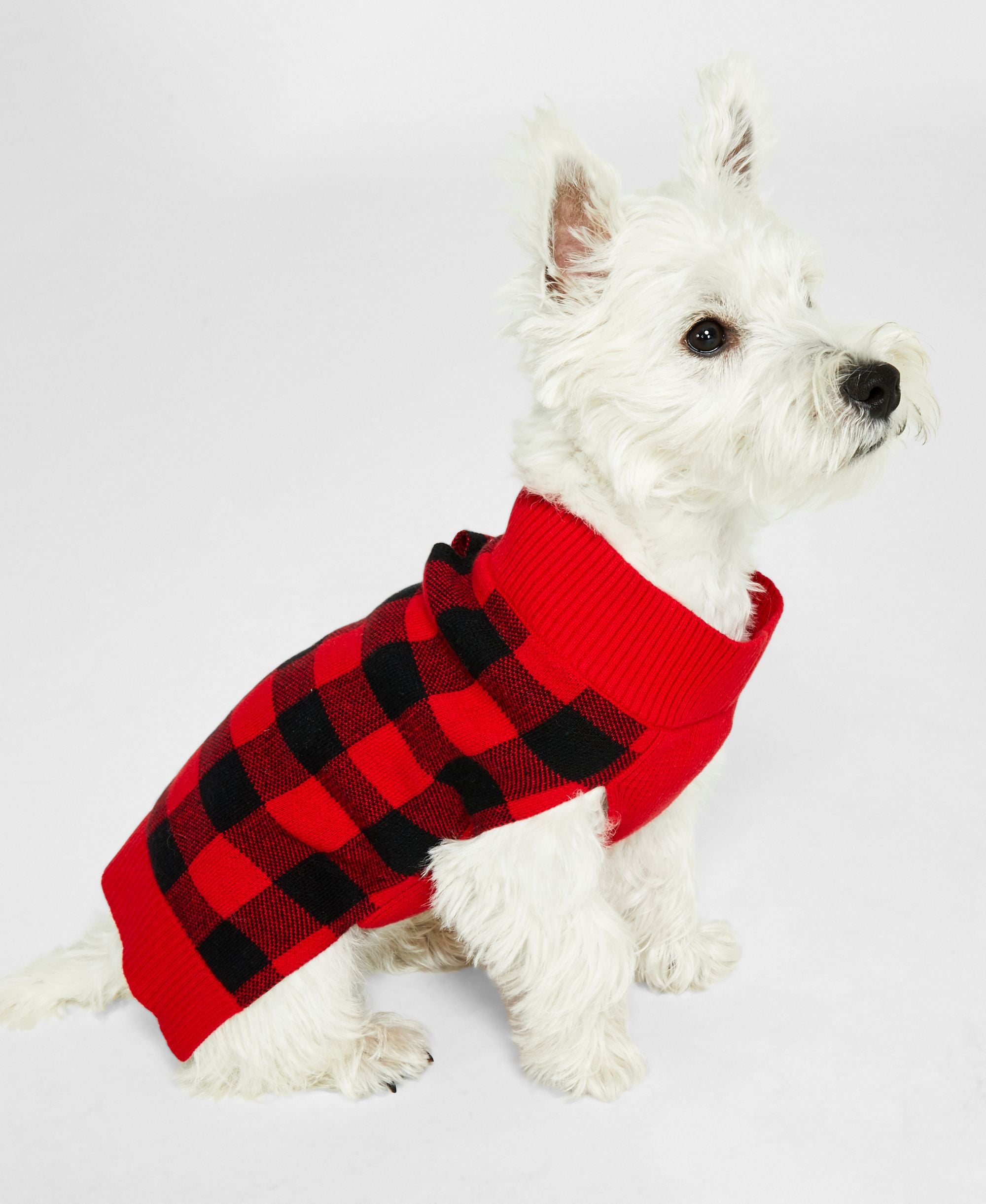 Charter Club Pets Plaid Family Sweater