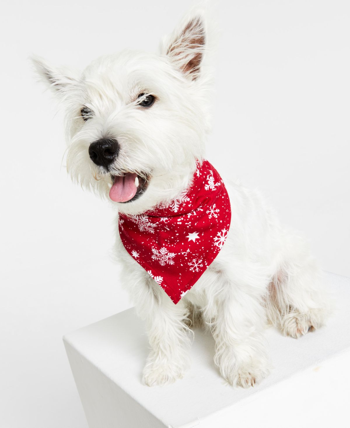 Matching Pet Merry Snowflake Bandana