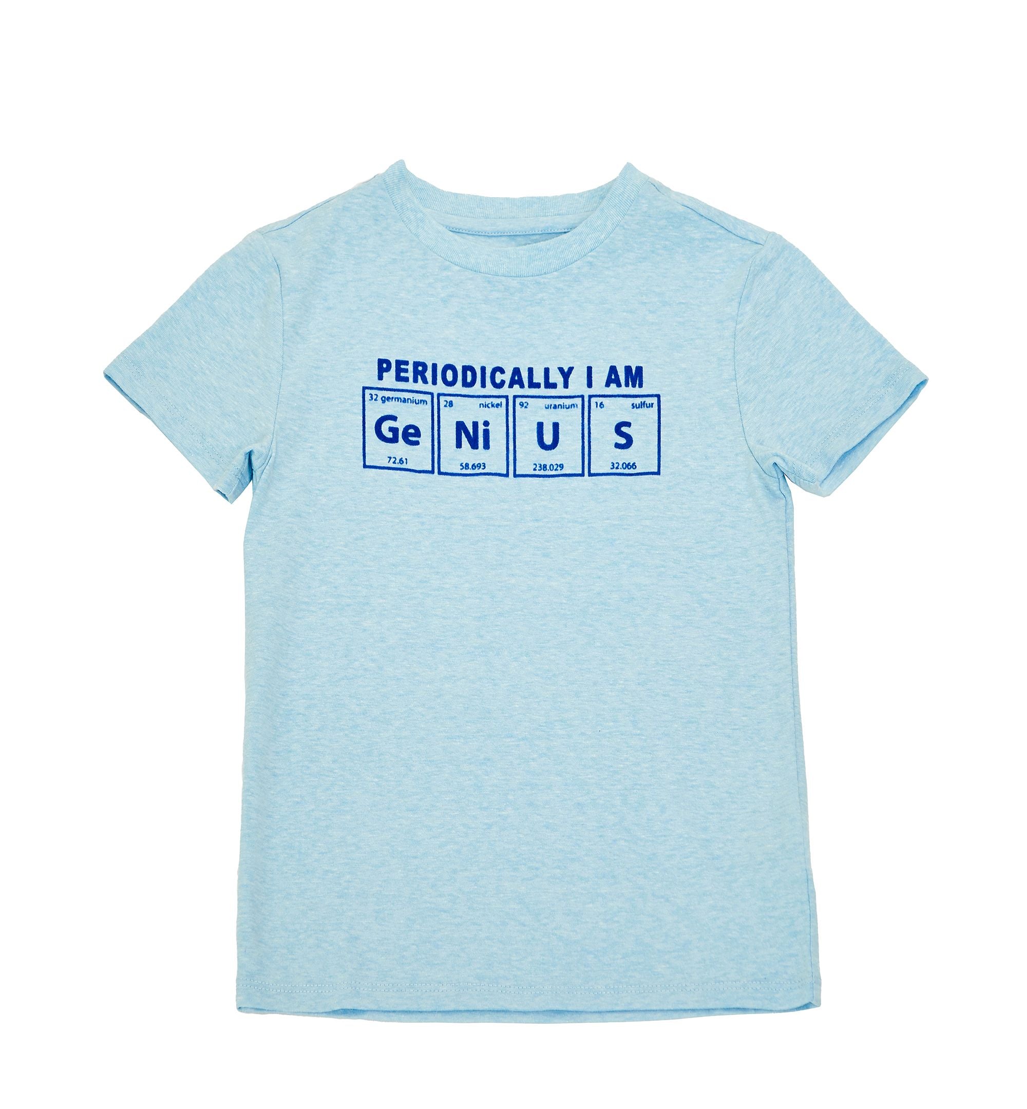 Little Boys Short Sleeve Graphic T-Shirt