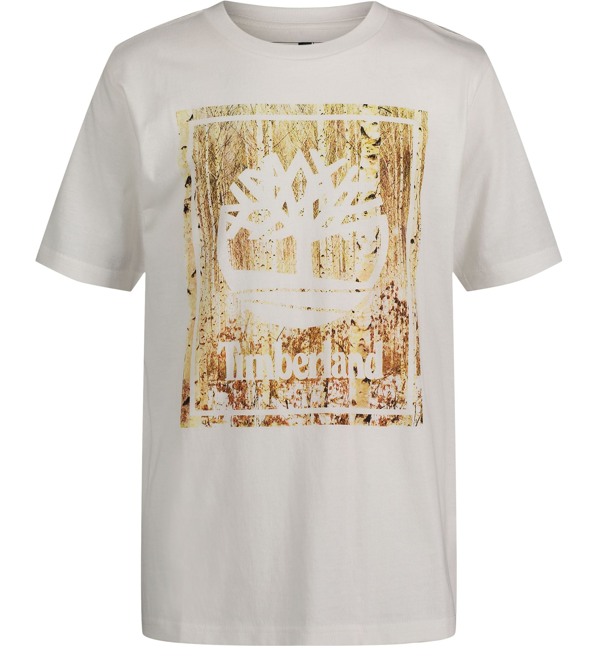 Big Boys Tree Photo Short Sleeve T-Shirt