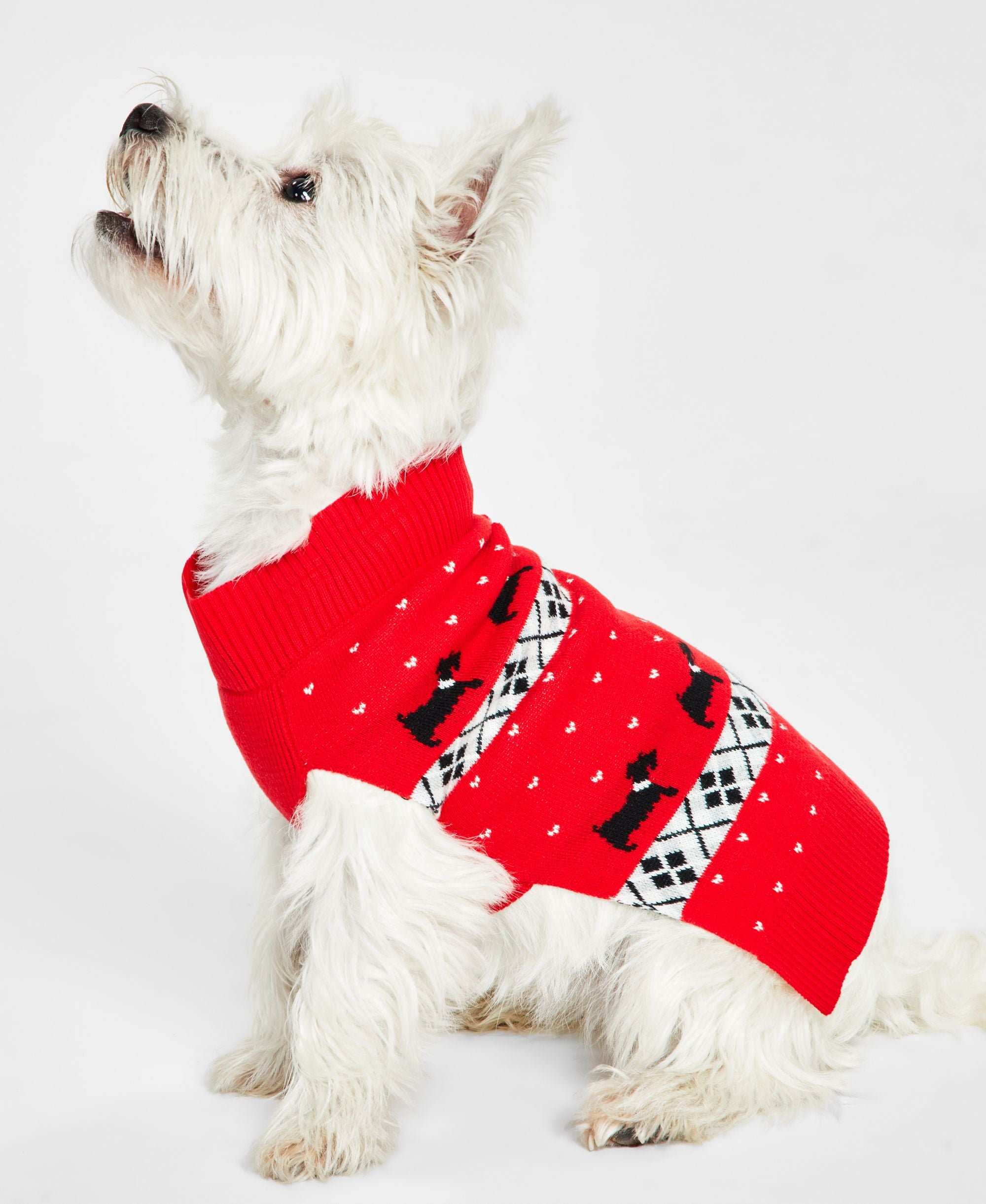 Charter Club Dog Walking Scottie Holiday Sweater