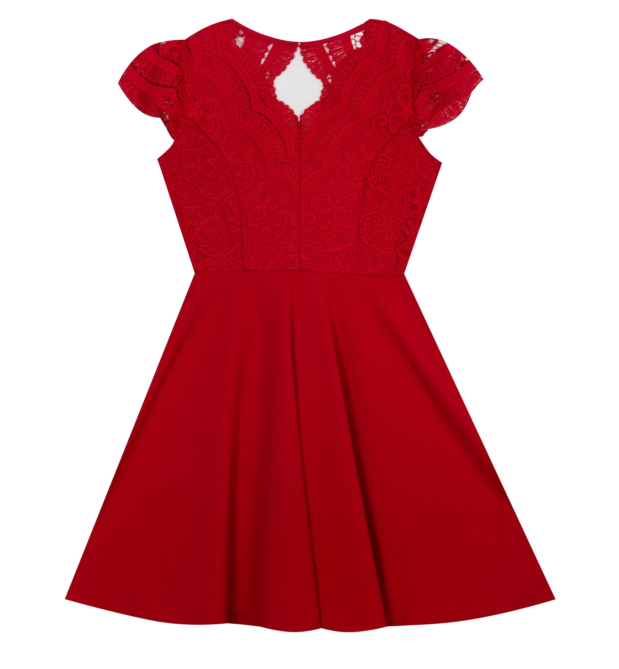 Rare Editions Big Girls Lace Bodice Skater Dress