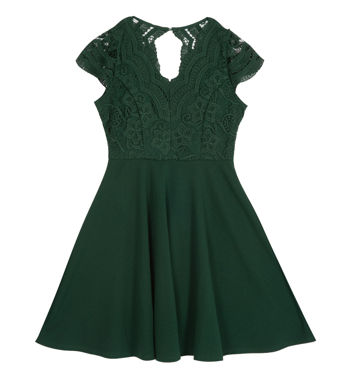 Rare Editions Big Girls Lace Bodice Skater Dress