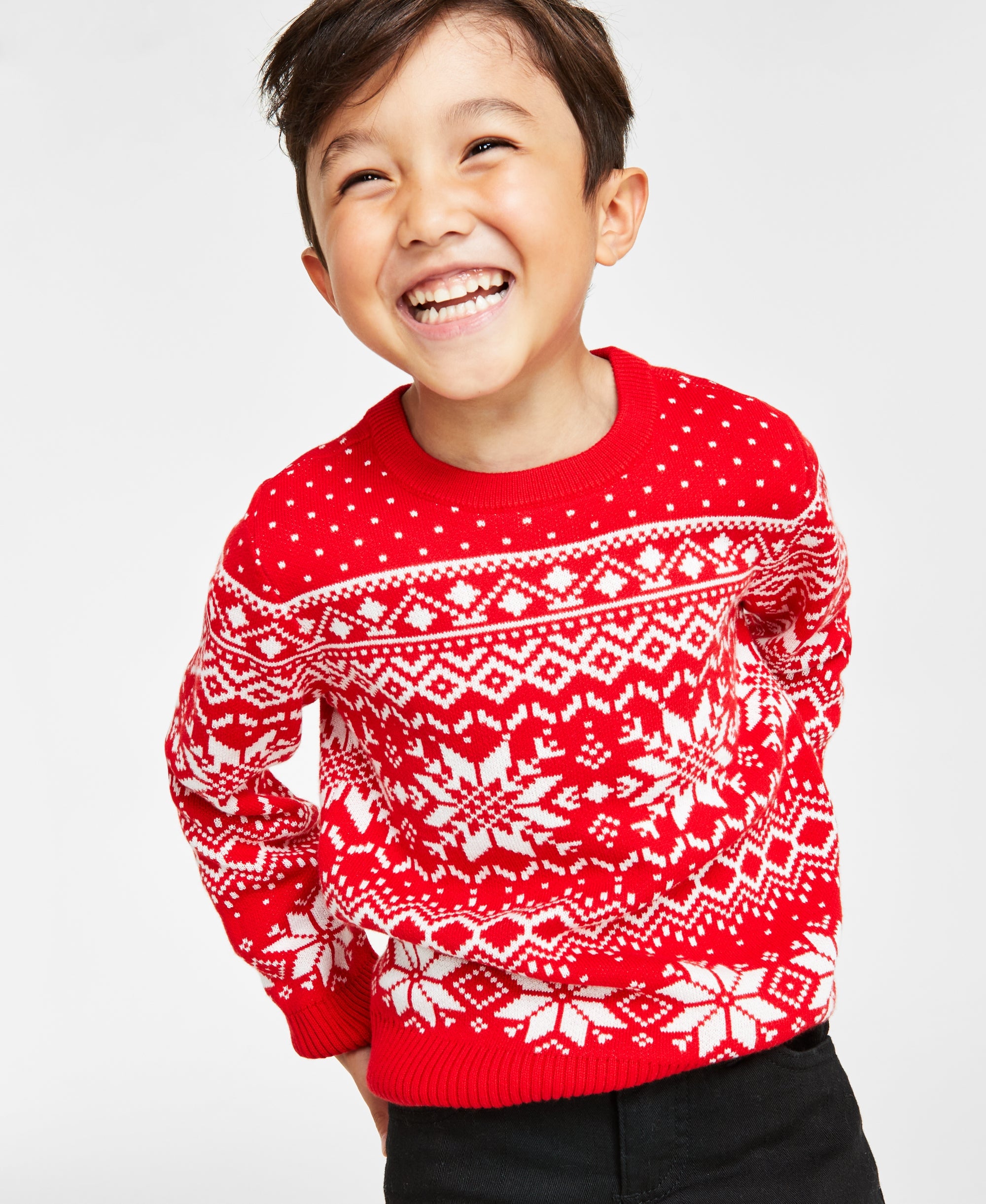Holiday Lane Little Boys Festive Fair Isle Sweater