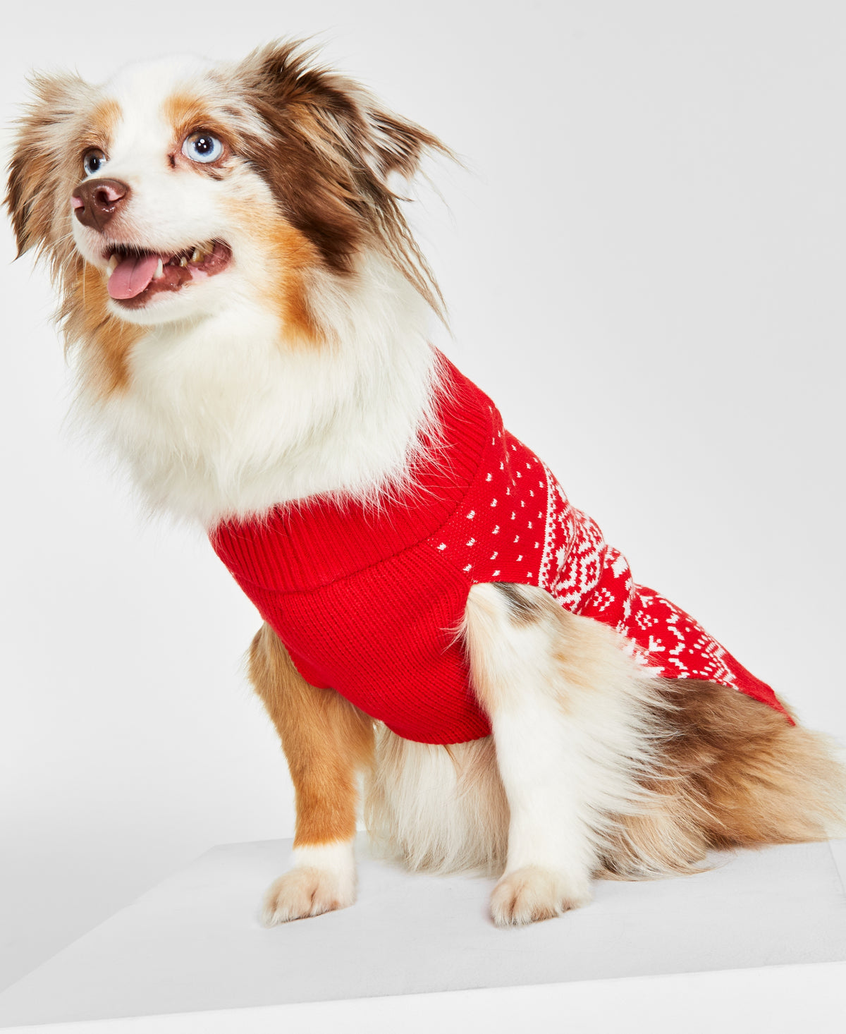 Holiday Lane Festive Fair Isle Pet Sweater