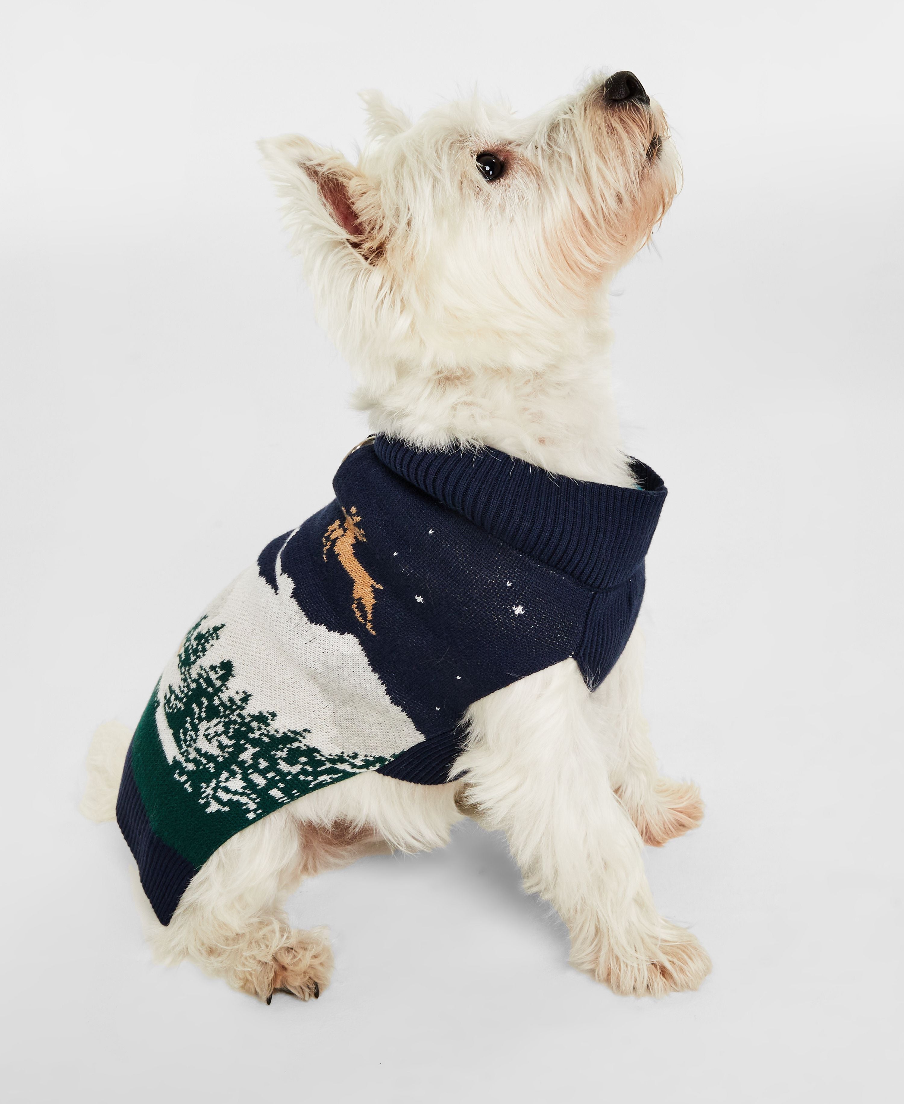 Holiday Lane Snowy Landscape Pet Sweater