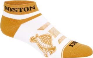 ASICS Boston No Show Socks