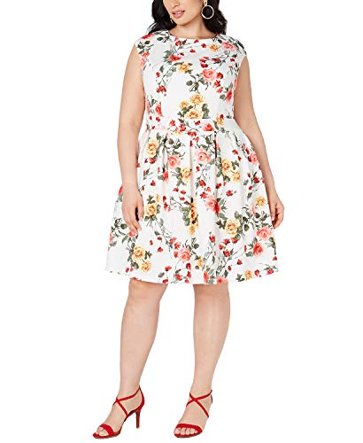 Plus Size Floral Fit & Flare Dress