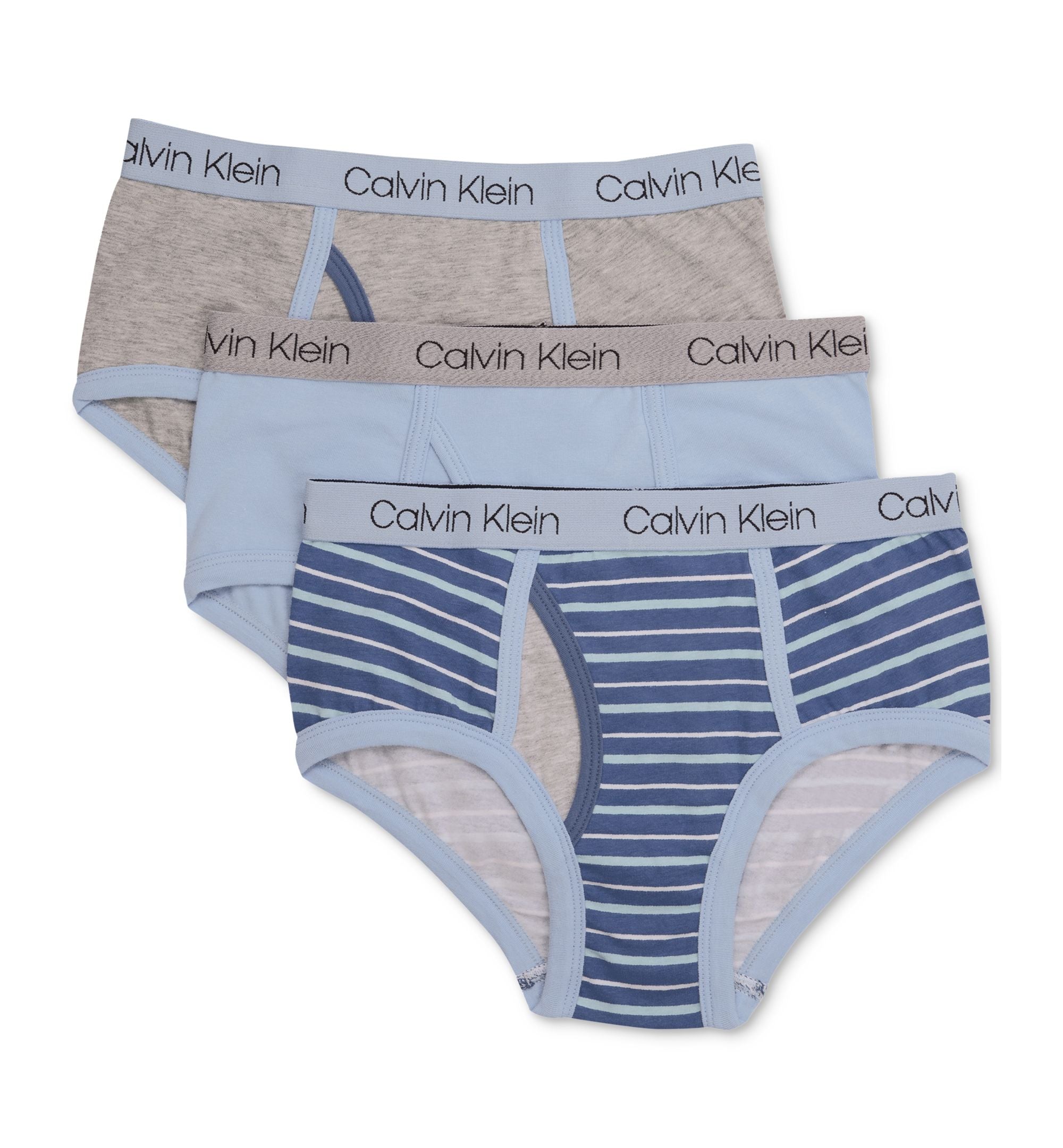 Calvin Klein 3 Pk. Cotton Briefs Little Boys Big Boys