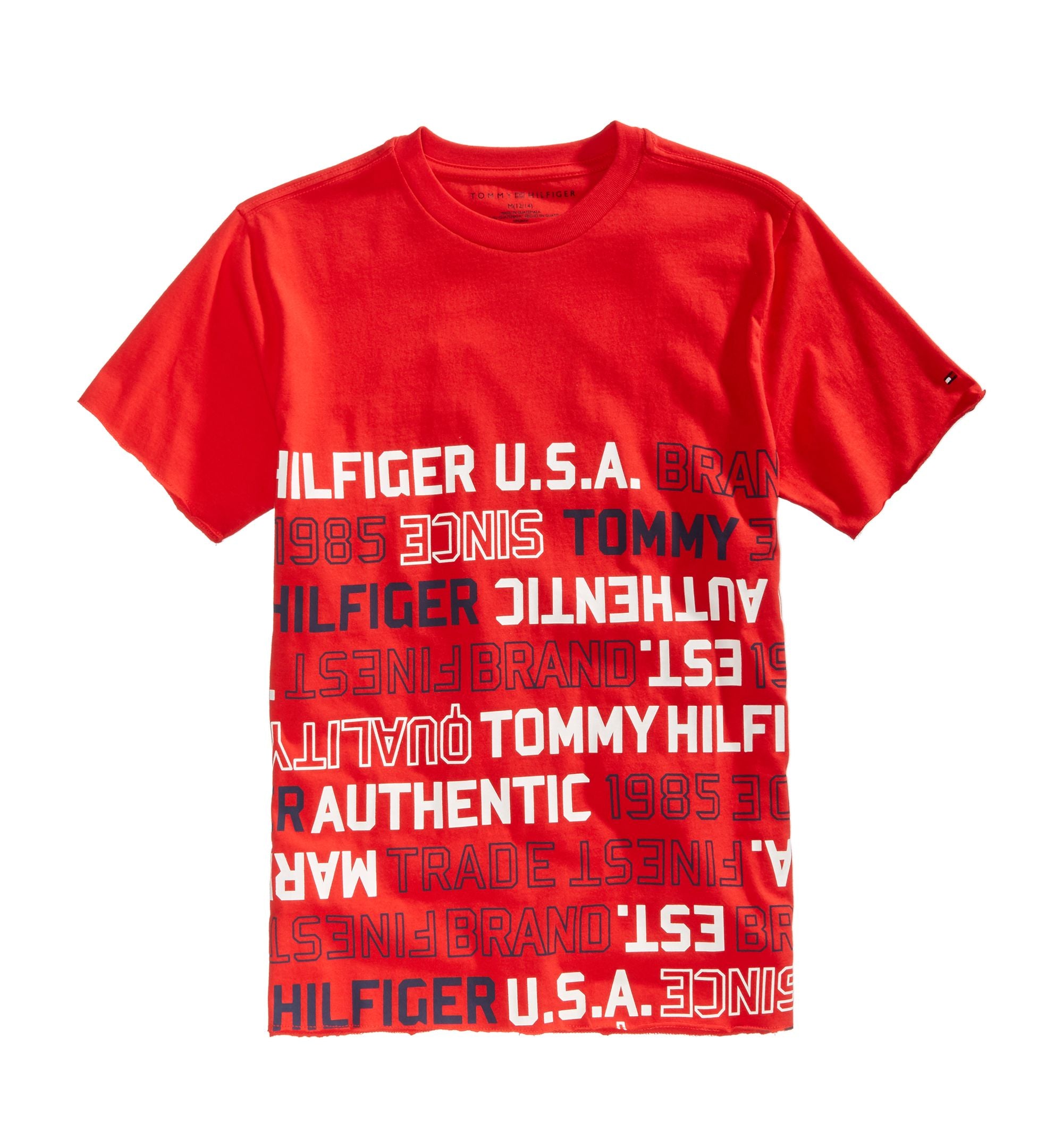 Tommy Hilfiger Little Boys Graphic Print Cotton T-Shirt