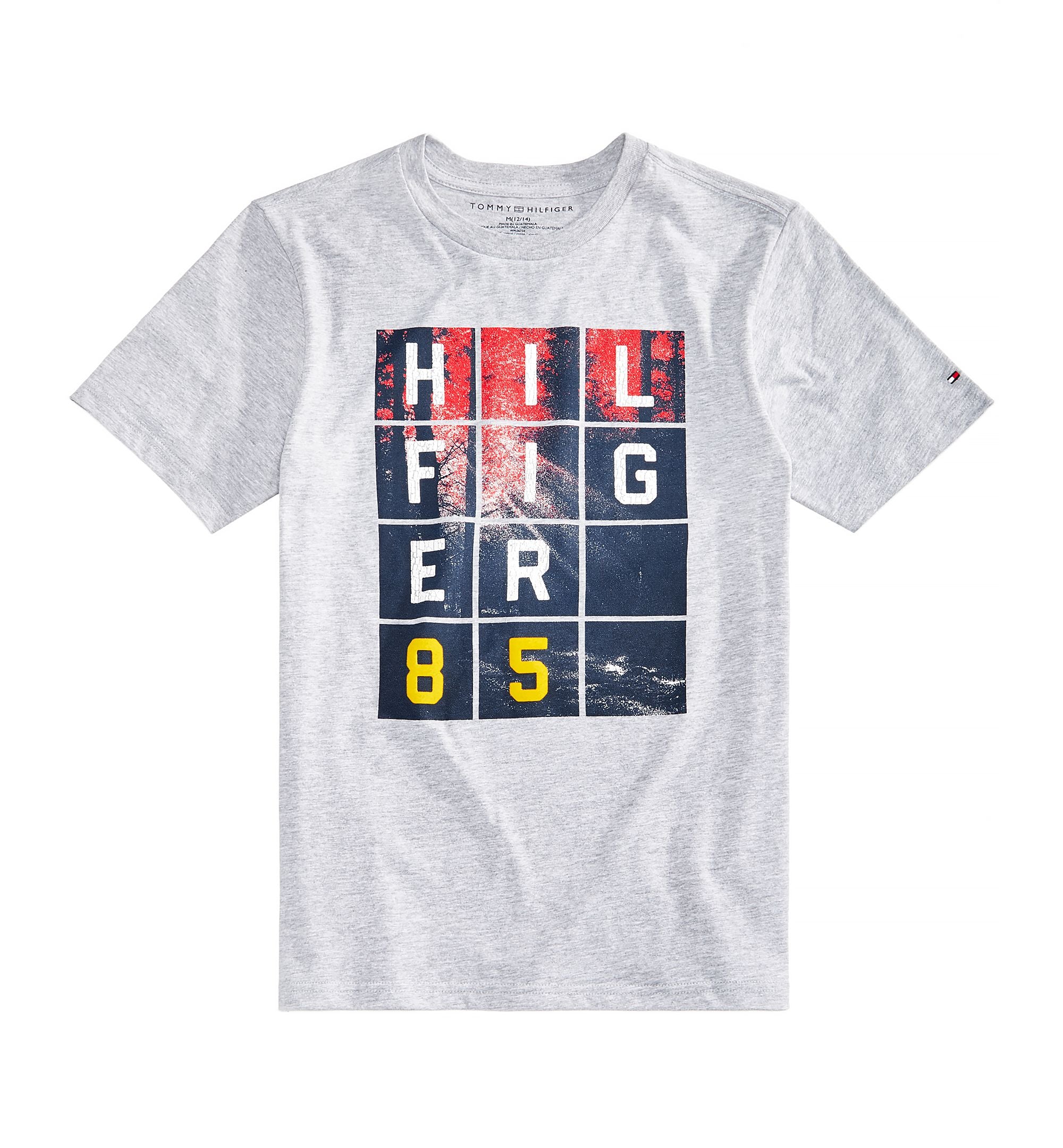 Tommy Hilfiger Little Boys Graphic Print T-Shirt