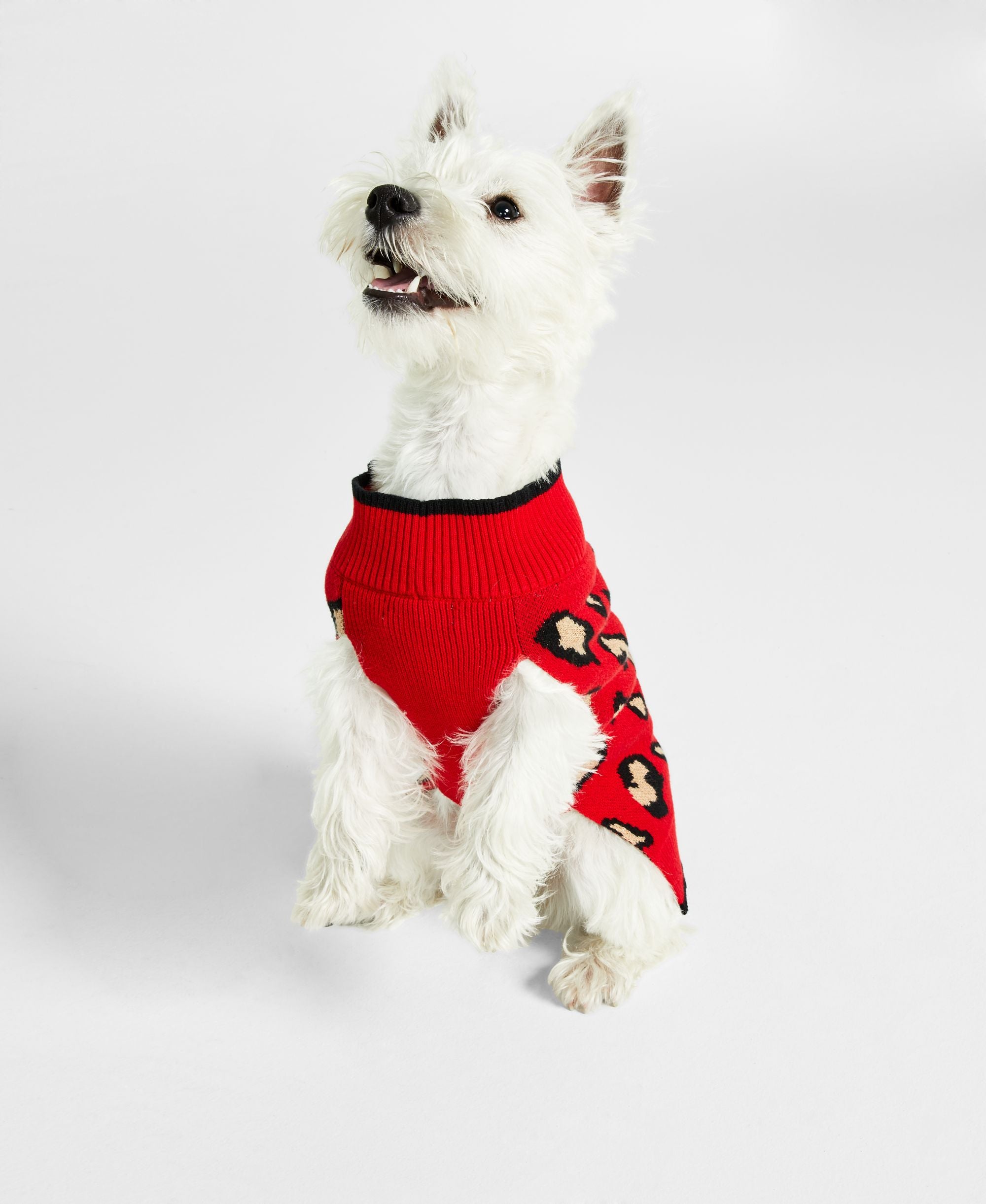 Charter Club Animal Print Dog Sweater