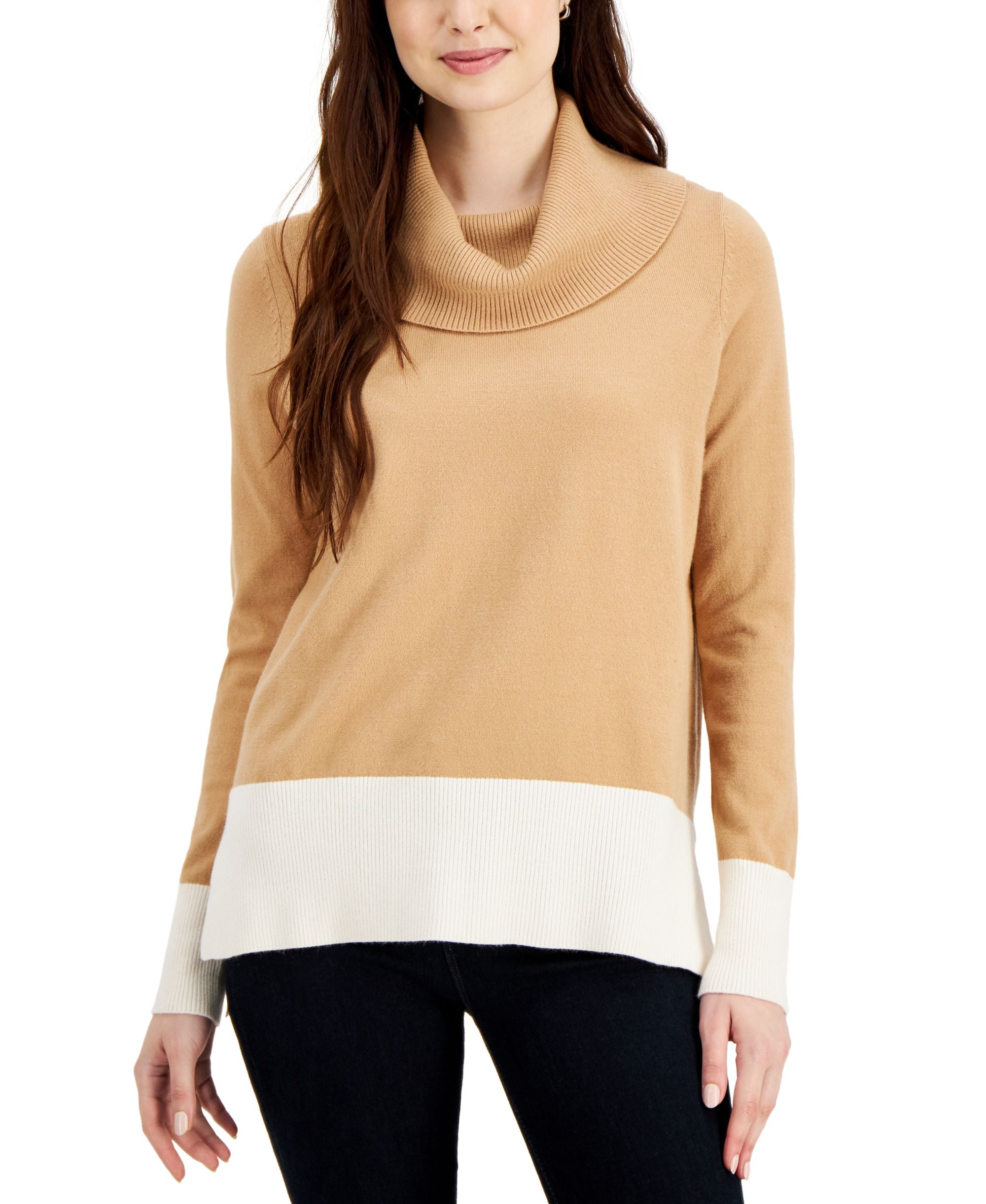 Adyson Parker Colorblocked Cowlneck Sweater