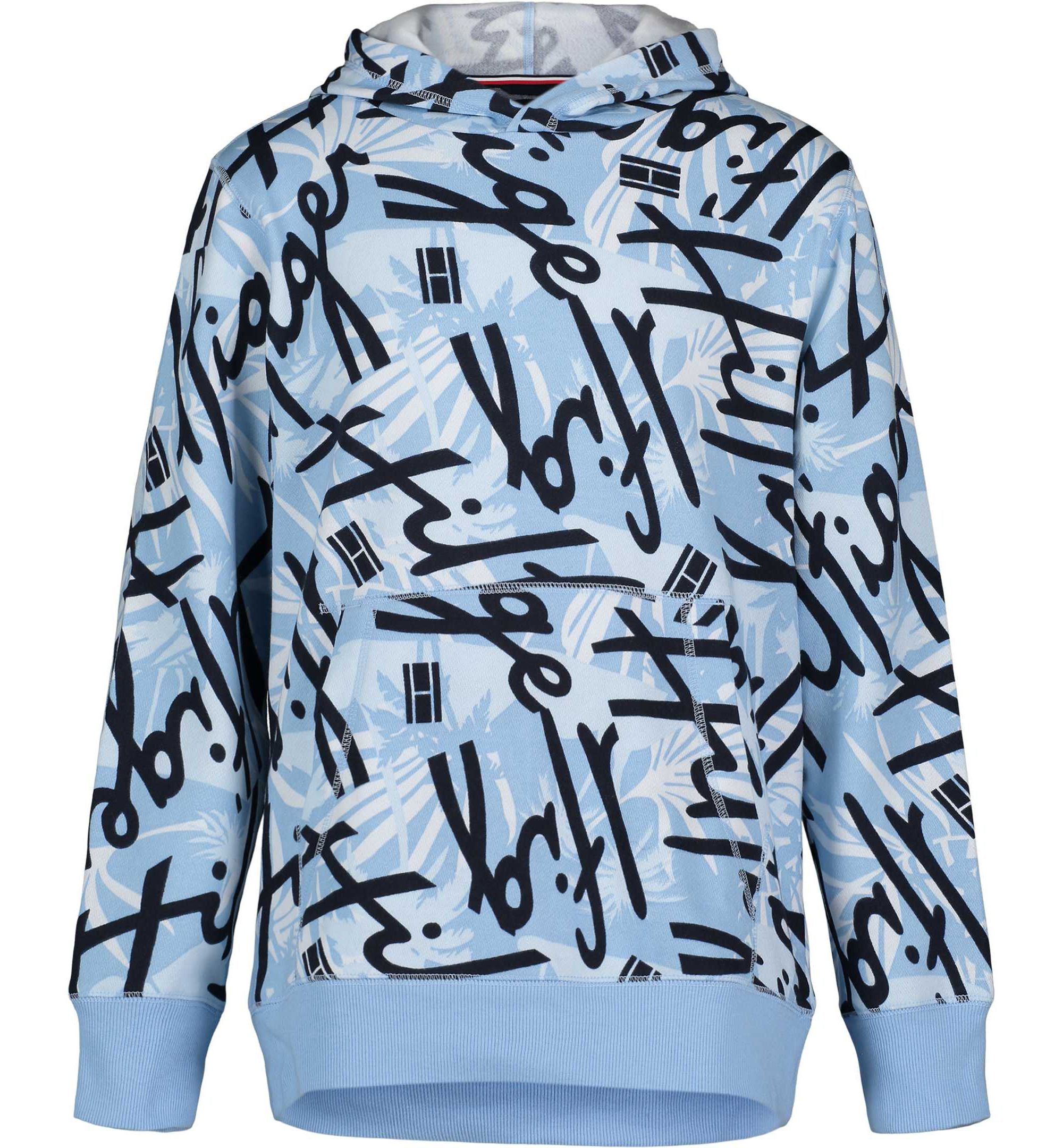 Little Boys Vacay Pullover Hoodie