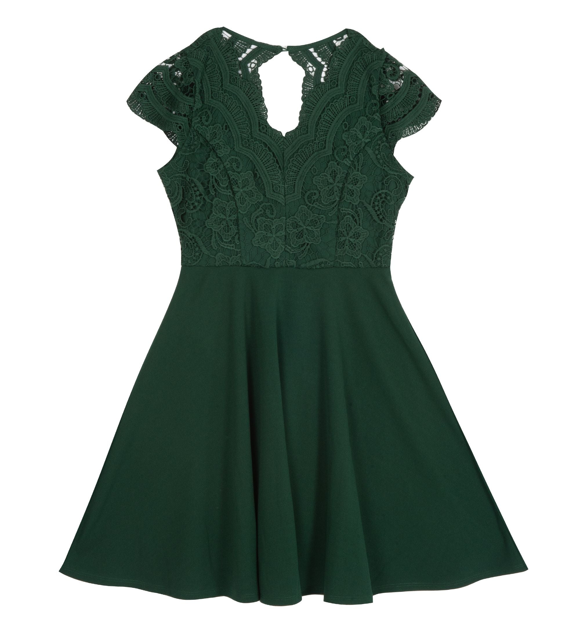 Rare Editions Big Girls Lace Bodice Skater Dress