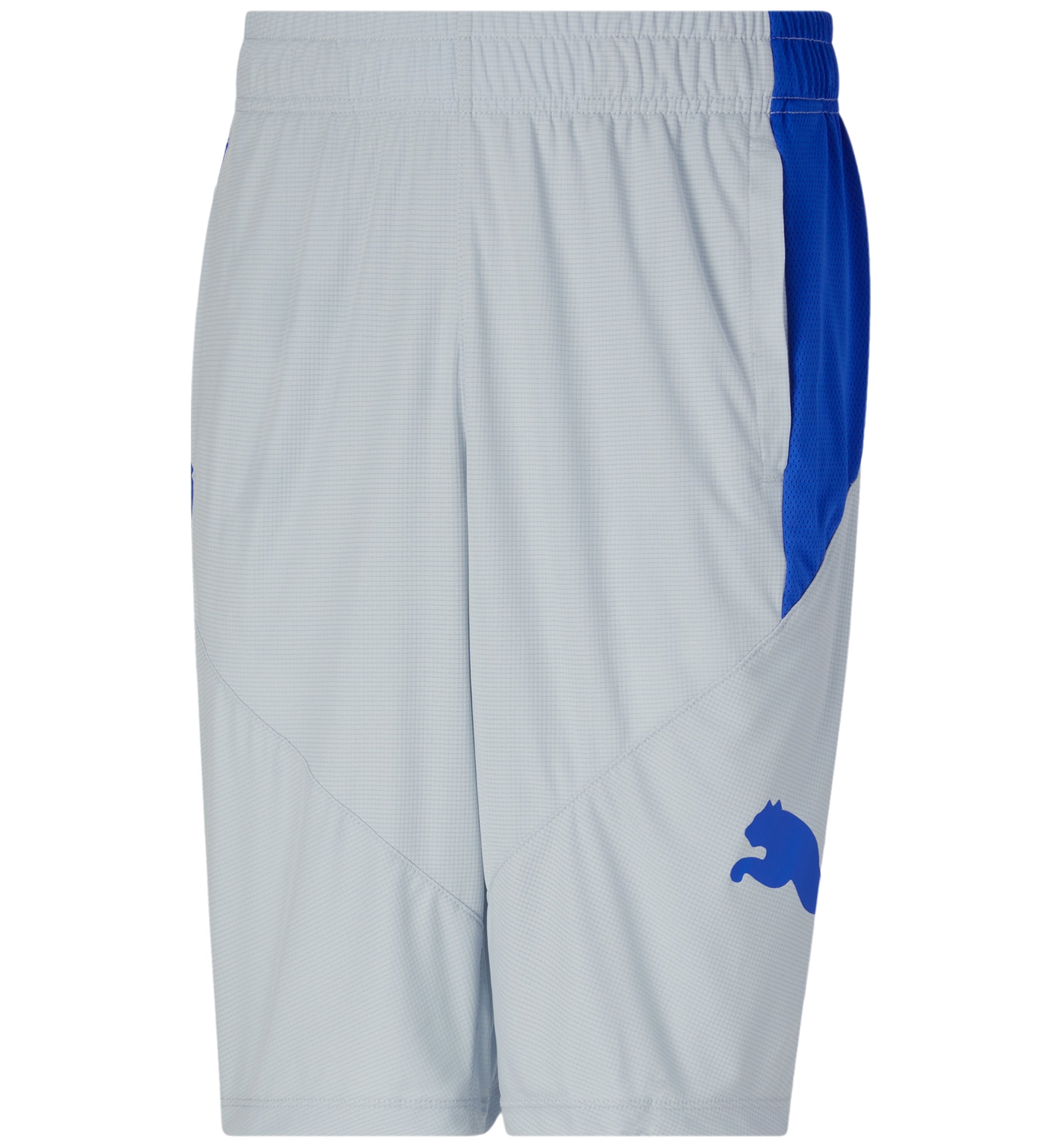 Men's 10" Moisture Wicking Training Cat Shorts
