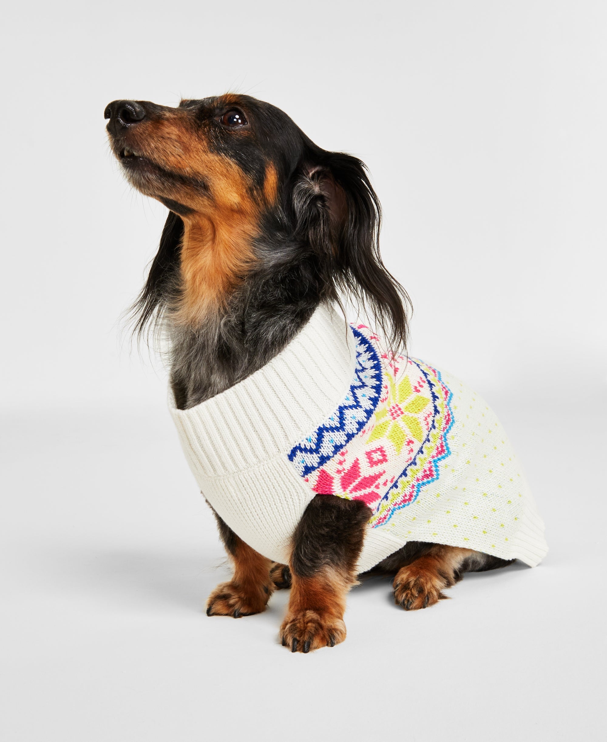 Holiday Lane Multi-Color Fair Isle Pet Sweater