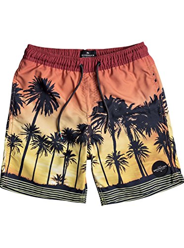 Toddler Boys Sunset Vibes Swimsuit