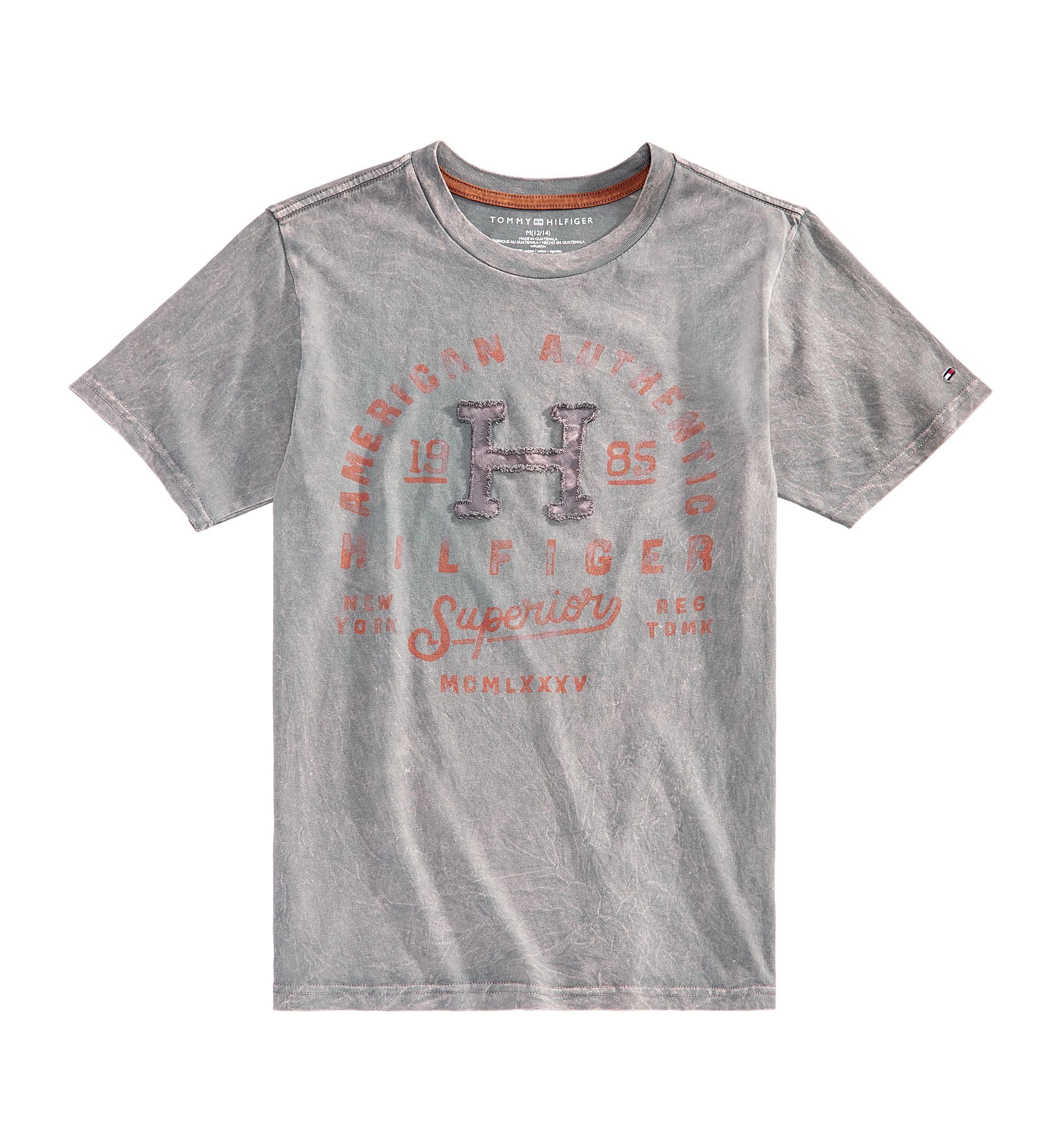 Tommy Hilfiger Big Boys Graphic Print Cotton T-Shirt